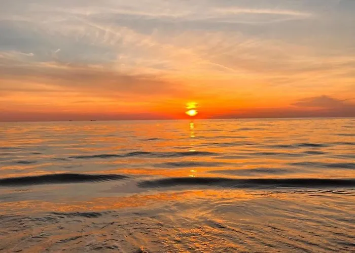 Avela Escape Polisi i Vogel